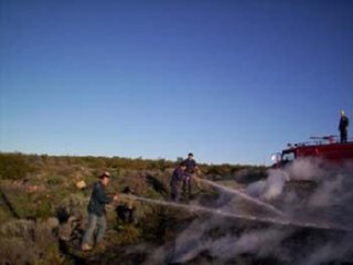 FUEGO CAMPO 03